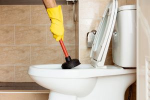 Clogged Toilet? When to Call a Plumber